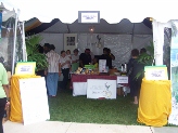 Jamaica Embassy Tent
